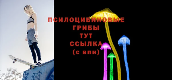 сатива Бугульма