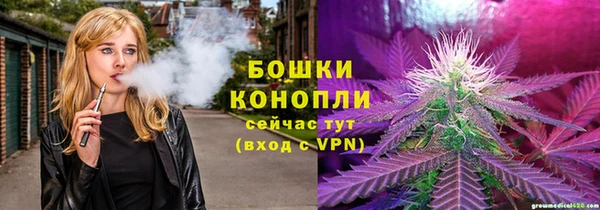 бошки Верея